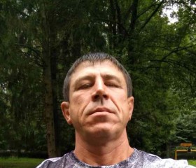 Виктор Иванов, 45 лет, Кингисепп