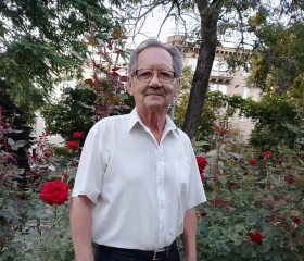 Nikolay, 68, Volgograd