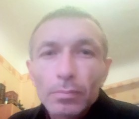 Рома, 43 года, Волгоград
