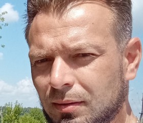 Николай, 38 лет, Ряжск
