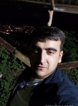Harut Ghazaryan, 24  , Yerevan