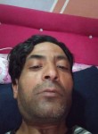 Ali, 42, Tozeur