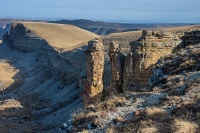 Открыть в полном размере