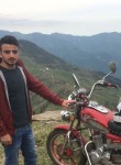 Muhammet, 28 лет, Amasya