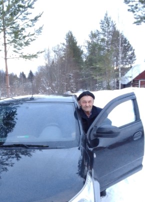 Evgeniy, 68, Russia, Kirov (Kirov)