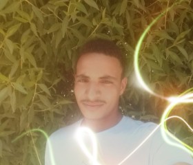 محمد أبو عيسي, 21, Qina