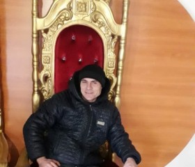 Николай, 37 лет, Hunedoara