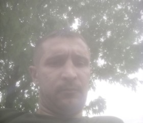 Жека, 37 лет, Домодедово