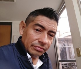 Martin, 40 лет, Monterrey City