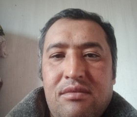 Bobomuruod, 38 лет, Toshkent