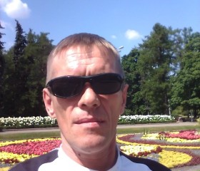 Сергей, 47 лет, Плесецк