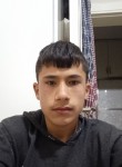 Yasin, 26 лет, Erciş