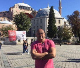 Bob, 35, New York City