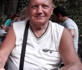 Некто, 74 года, Зеленогорск (Ленинградская обл.)
