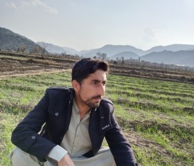 Hamadan wazir, 29 лет, لاہور