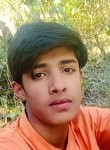 Altaf Hussain, 18 лет, Srinagar (Jammu and Kashmir)