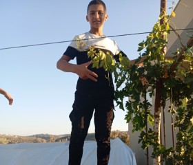 ثائر محمد, 23, Qabatiyah