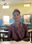Shali, 19 лет, Jalandhar
