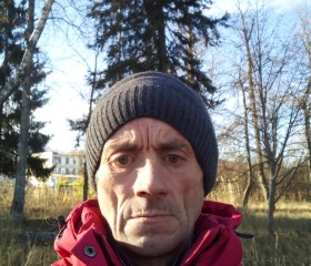 Григорий, 54 года, Санкт-Петербург