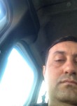 birol, 43 года, Karabağlar