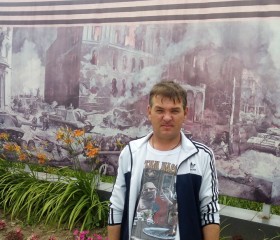 Михаил Тумин, 49 лет, Россошь