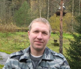 Станислав, 48 лет, Гатчина