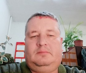 Пётр, 53 года, Псков