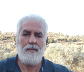 بلال رابي, 61, Qalqilyah