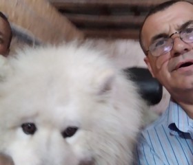 Александр, 53 года, Севастополь