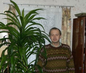 Василий, 47 лет, Горад Полацк