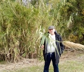Alex, 74, Newcastle upon Tyne