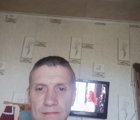 Михаил Захаров, 44 года, Владимир