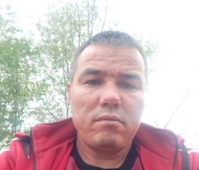 Рома, 39 лет, Москва