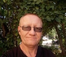 Сергей, 47 лет, Вичуга