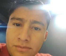 Victor Manuel, 26 лет, México Distrito Federal