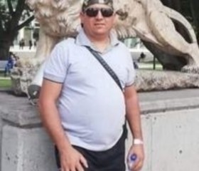 Petru, 49 лет, Castelnuovo di Garda