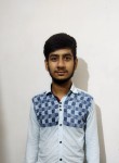 puneet Thakur, 20 лет, Kapurthala Town