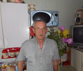 виталий, 67 лет, Елец