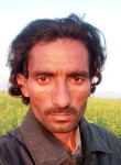 Talib Hussan, 19 лет, اسلام آباد