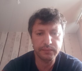 Арно Казакбаев, 47 лет, Новосибирск
