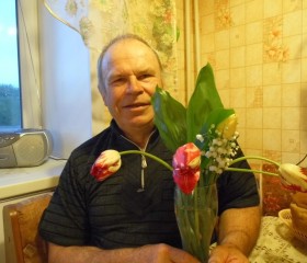 Фролов Алексей, 74 года, Тюльган