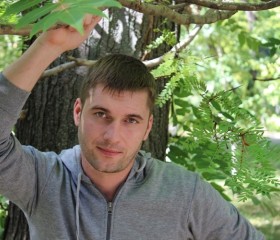 Алексей, 36 лет, Котлас