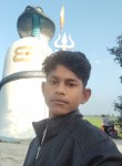 Nanu bhai, 18 лет, Ahmedabad