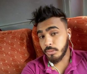 Gato mestre, 18, Toledo