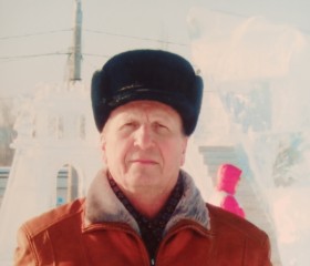 сергей, 70 лет, Пермь