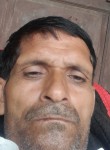 Komal,yadav, 36 лет, Firozabad