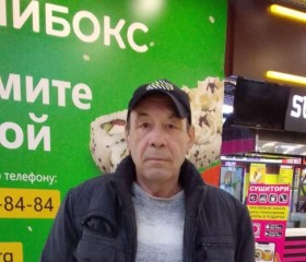 Владимир, 63 года, Балашов