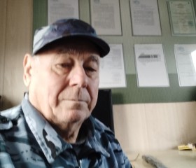 Валерий, 65 лет, Саратов