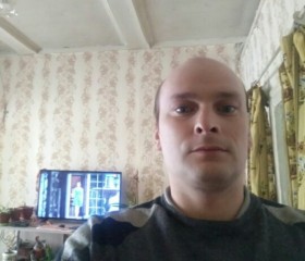 Алексей, 36 лет, Кологрив