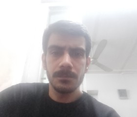 Shahab, 33 года, قم‎